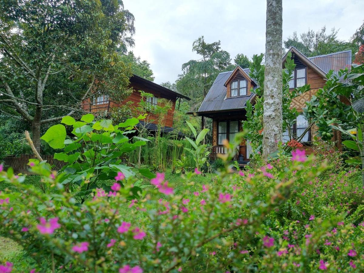 Canyon Jungle Stay Bukittinggi Exterior foto
