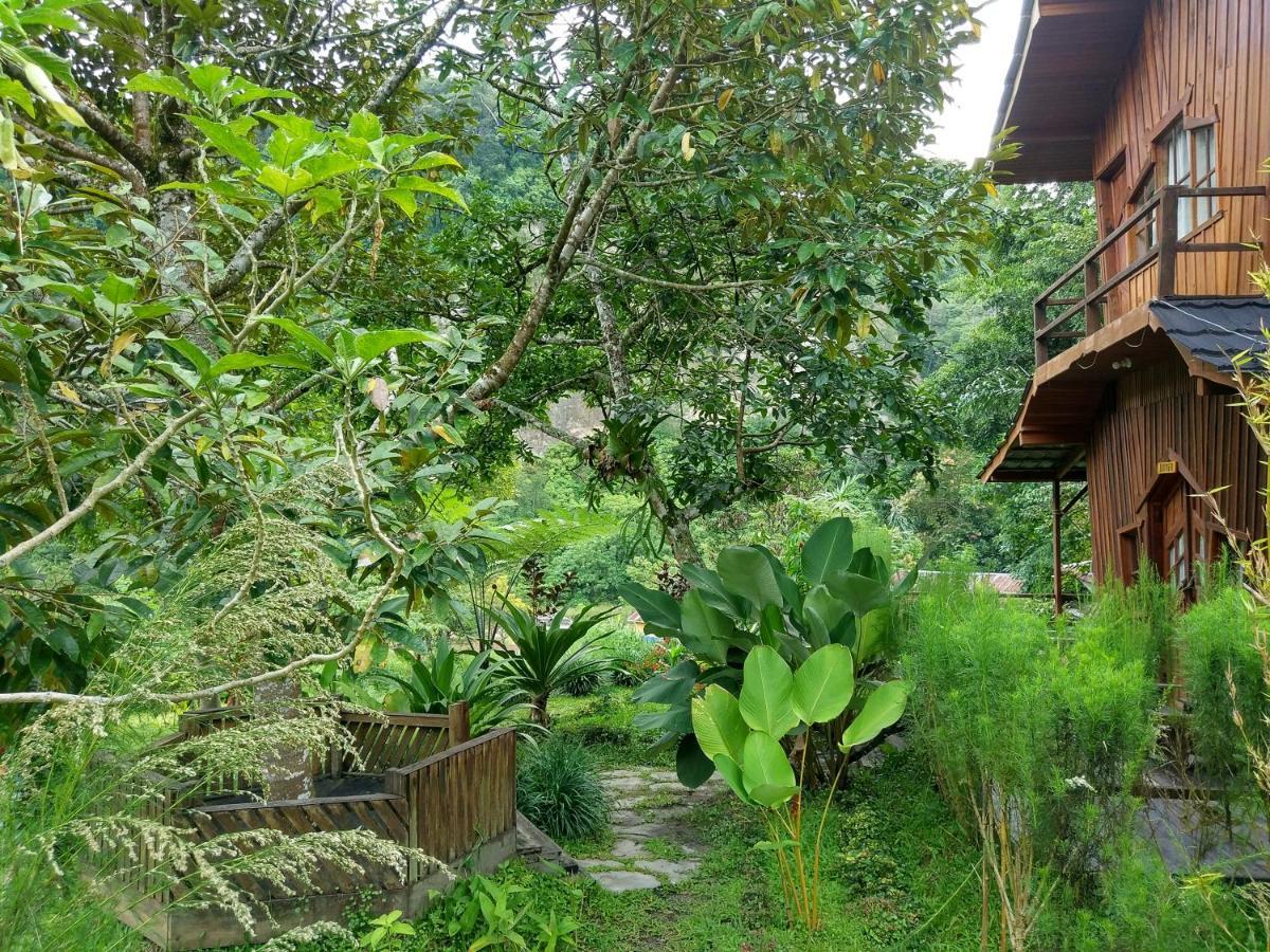 Canyon Jungle Stay Bukittinggi Exterior foto