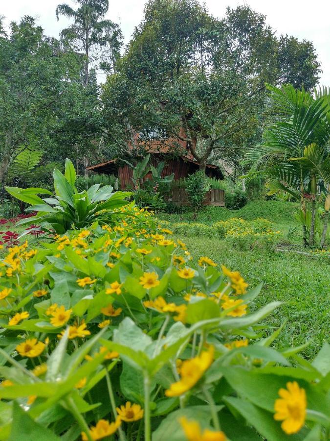 Canyon Jungle Stay Bukittinggi Exterior foto