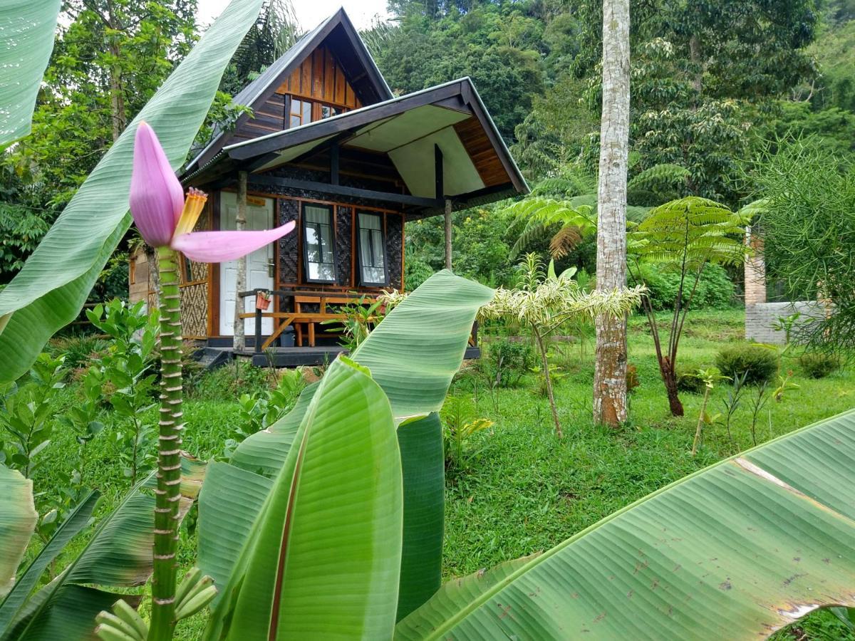 Canyon Jungle Stay Bukittinggi Exterior foto