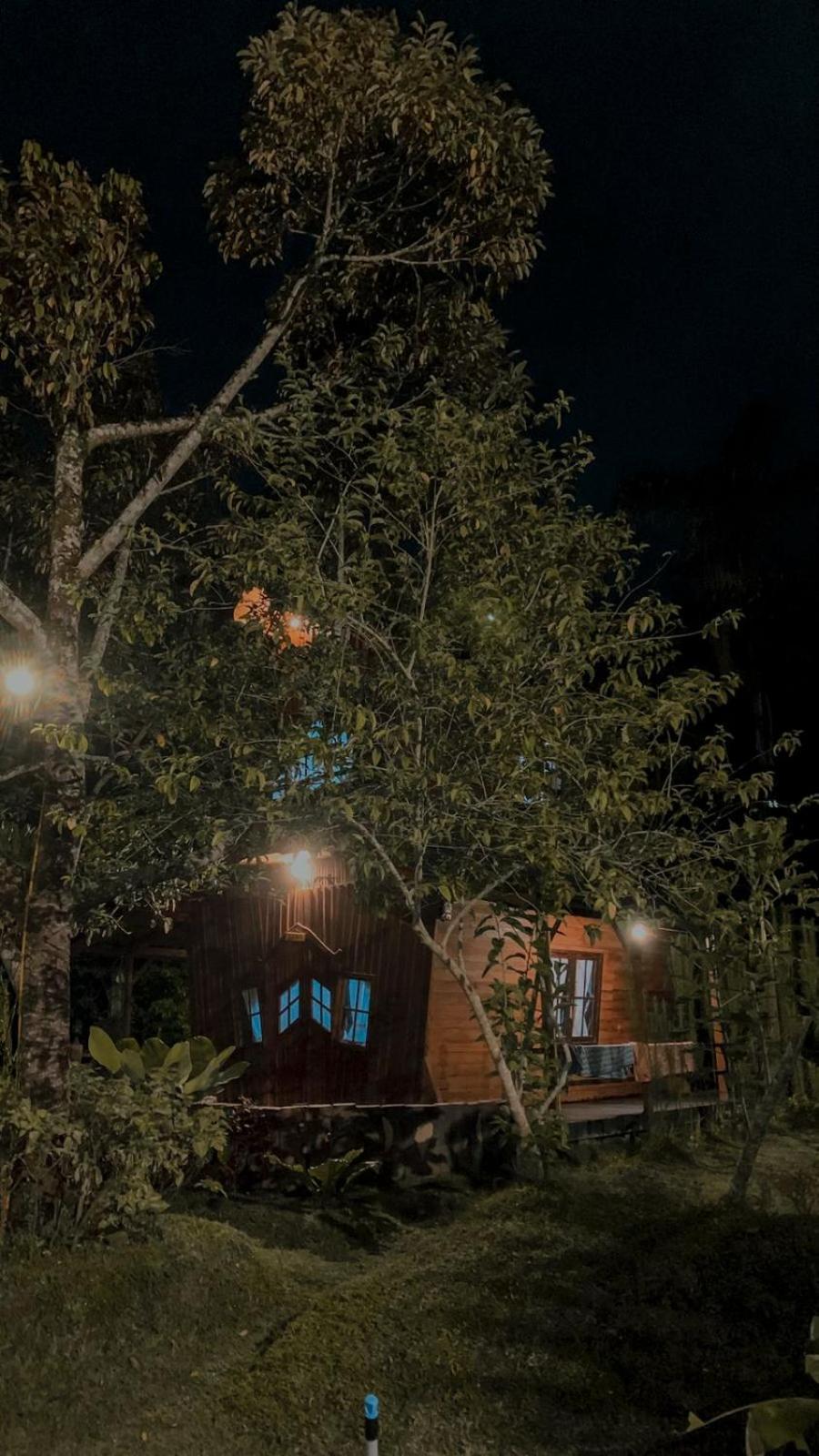 Canyon Jungle Stay Bukittinggi Zimmer foto