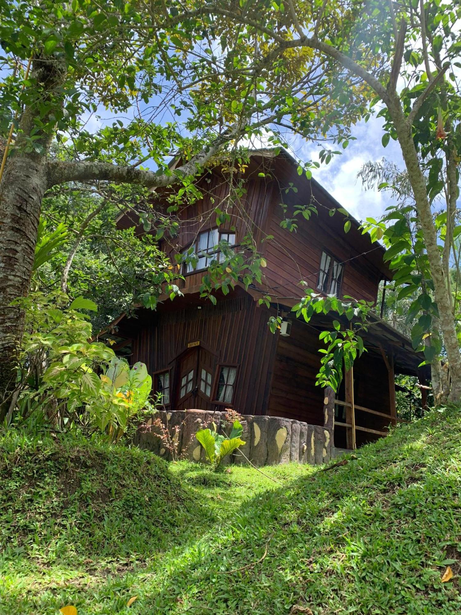 Canyon Jungle Stay Bukittinggi Exterior foto